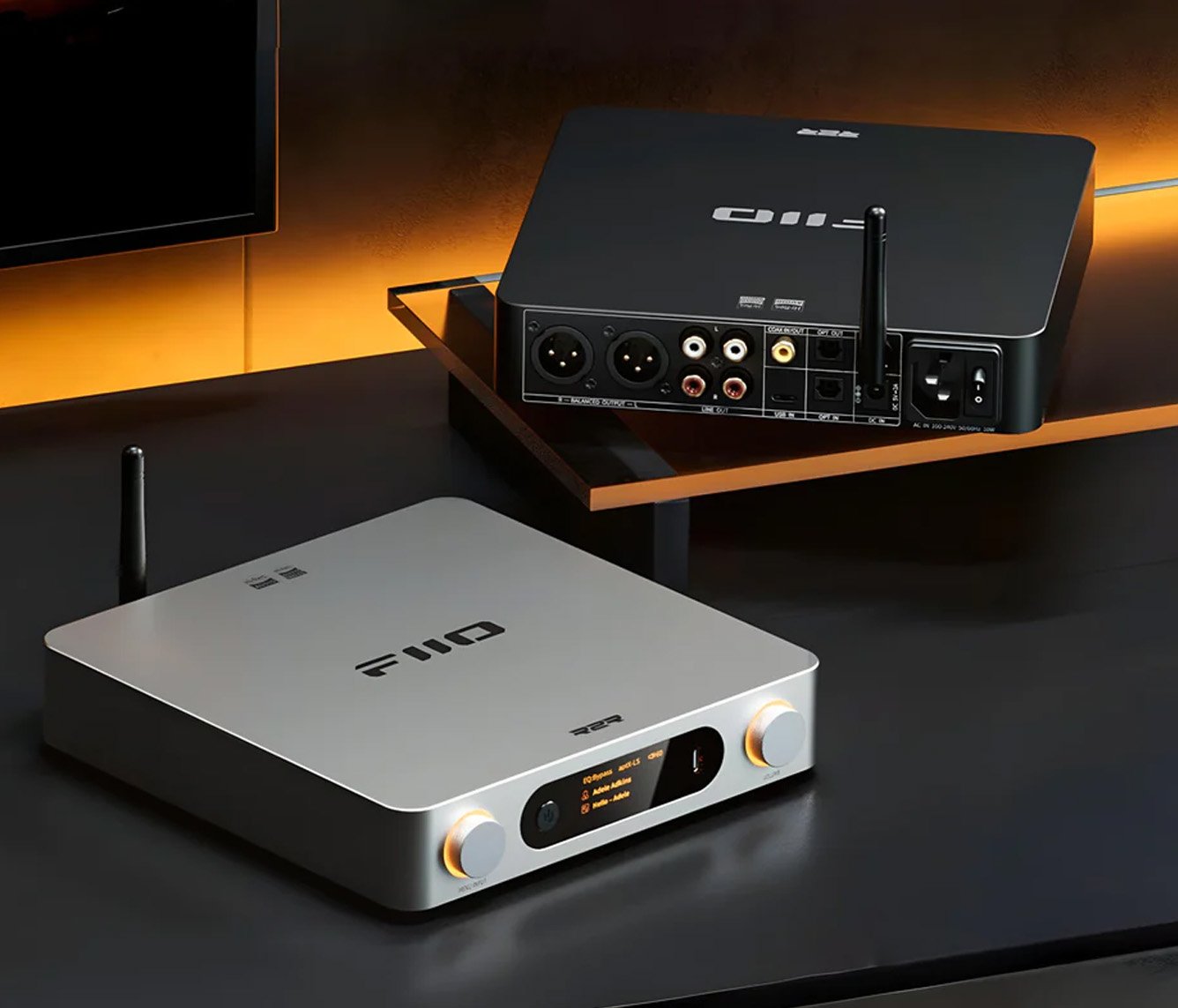 Fiio BR15 R2R