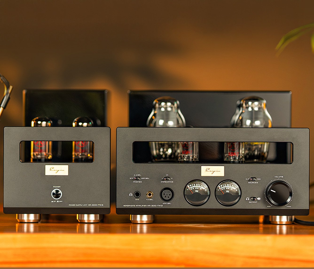 Cayin HA-300 MK3