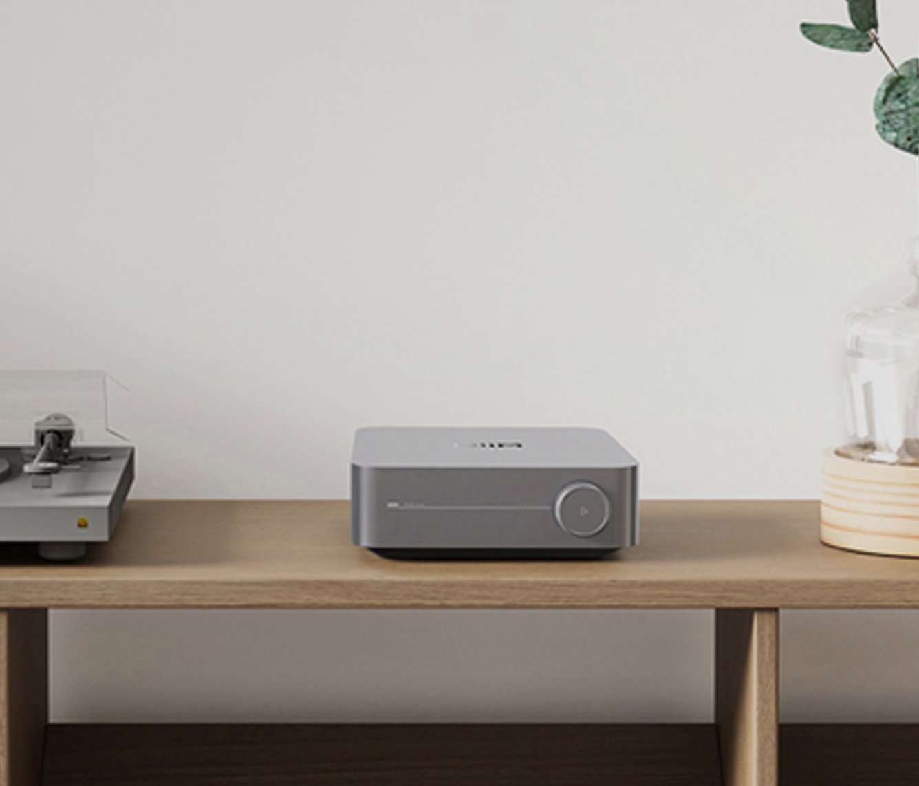 Wiim Amp Pro