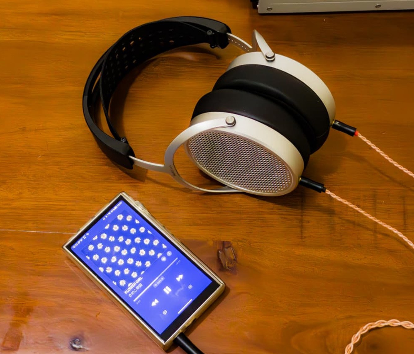 Hifiman HE600