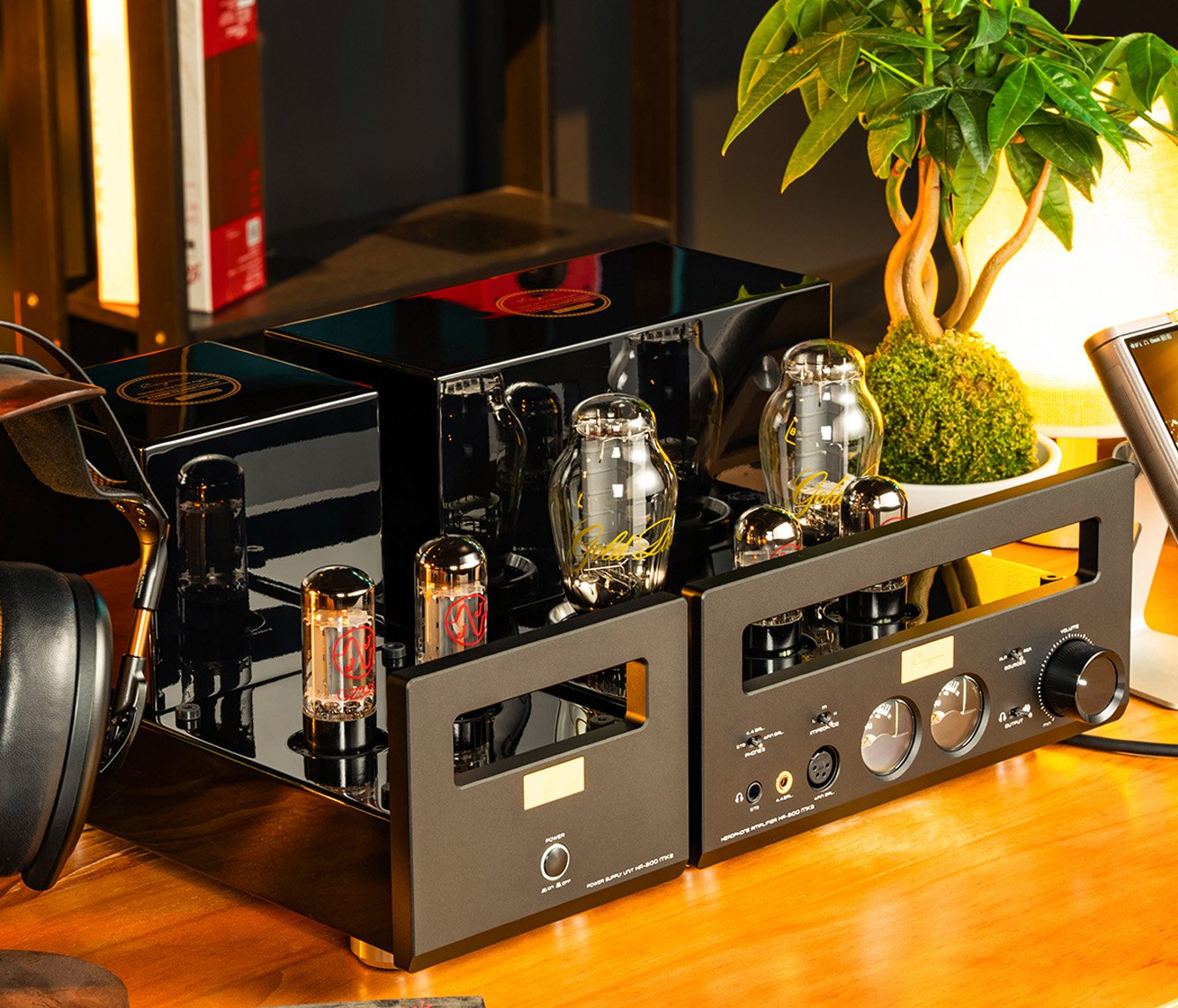 Cayin HA-300 MK3