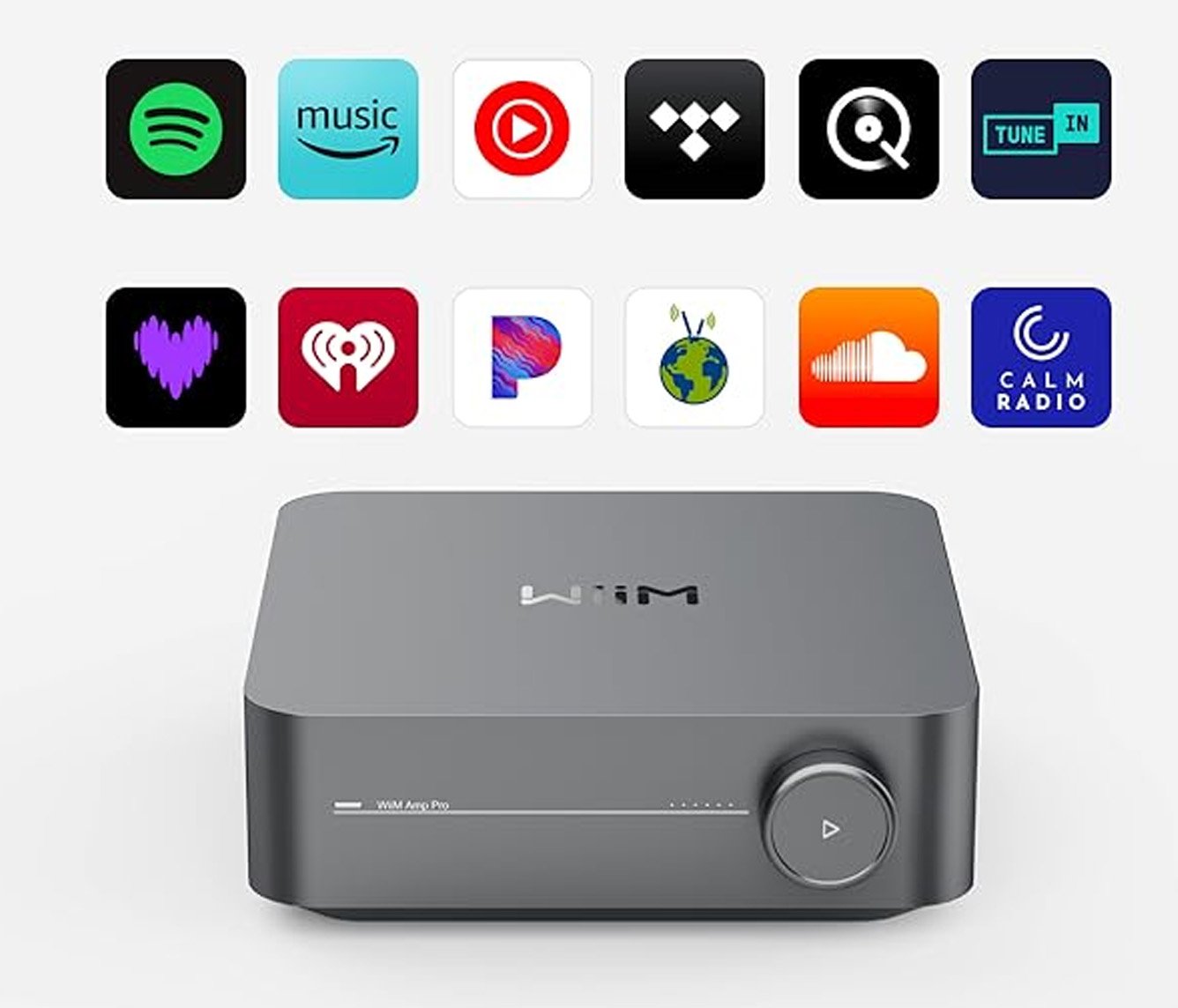 Wiim Amp Pro